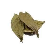 Листья Psychotria Viridis (Chacruna)