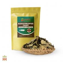 Листья Банистериопсис каапи Banisteriopsis caapi 