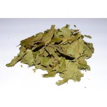 Купить листья Banisteriopsis caapi (Лоза Каапи Лиана)