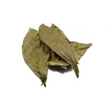 Купить Diplopterys cabrerana (Чалипонга листья) 250 грамм