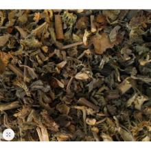 Купить Оптом – Дурман Индийский, семенные коробочки (Datura Metel, seed boxes)