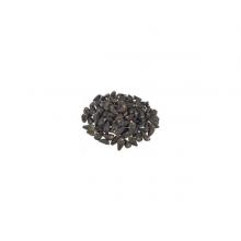 Купить Акуамма, семена (Akuamma, Picralima Nitida seeds)